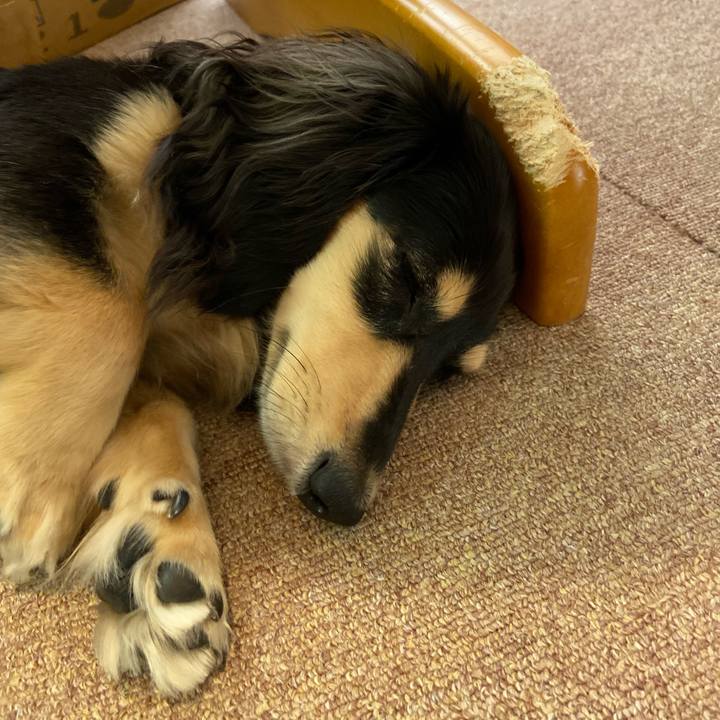 711f6492 c702 4ff7 bd02 da00f71b1723 1685323692913