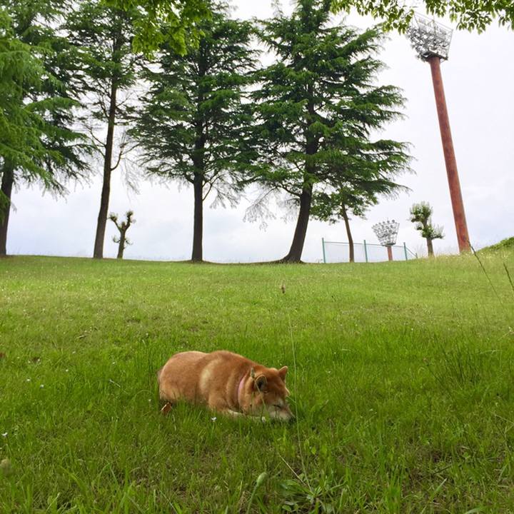 711f6c8e 61de 48be b71a 0853804310e7 1559455420531