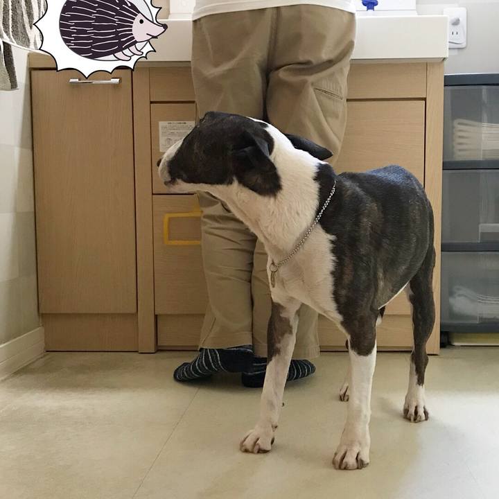 711f702d f946 4a41 9c1c 768539bda54d 1512892669923