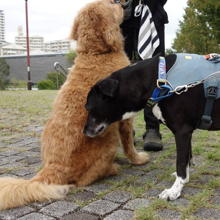 711f7c20 68b4 4beb 8b17 99f06a9f2a00 1727223726371