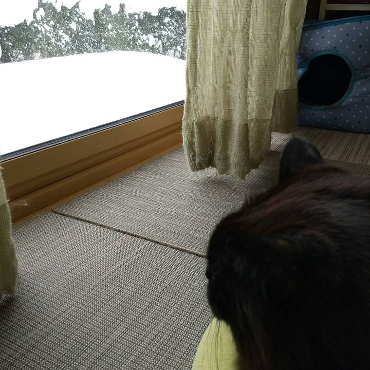 711f8e3e adee 4b3c 9dc4 897f03fcaebb 1608163302818