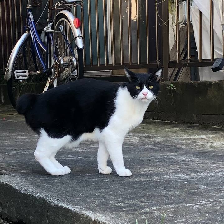 711f9cc7 7439 46e0 9141 83a36f6adb43 1537432544596