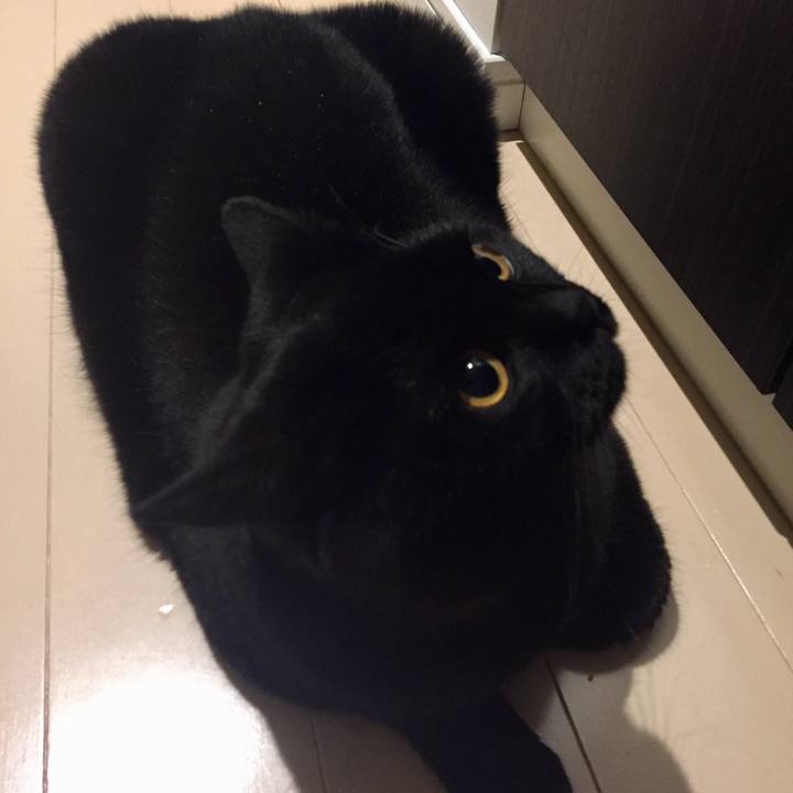 711fc608 a4a5 4cc7 81ea 5fd4857f1007 1526822701383