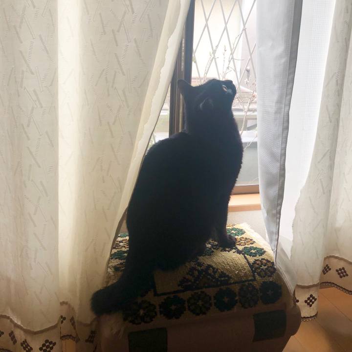 711fefd5 f76e 4488 8213 f23ea0079d50 1550017140518