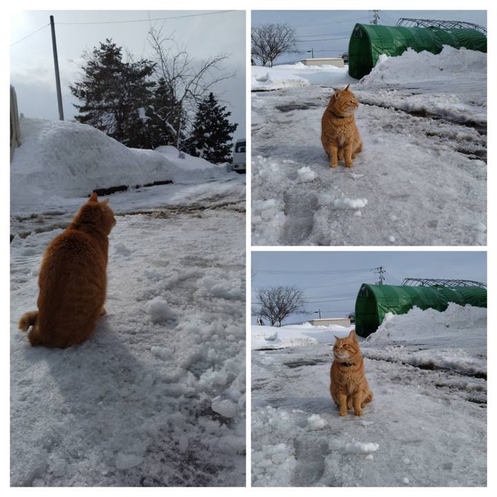 712006d3 c8aa 4b7f ba3e 7540219adb01 1675405001906