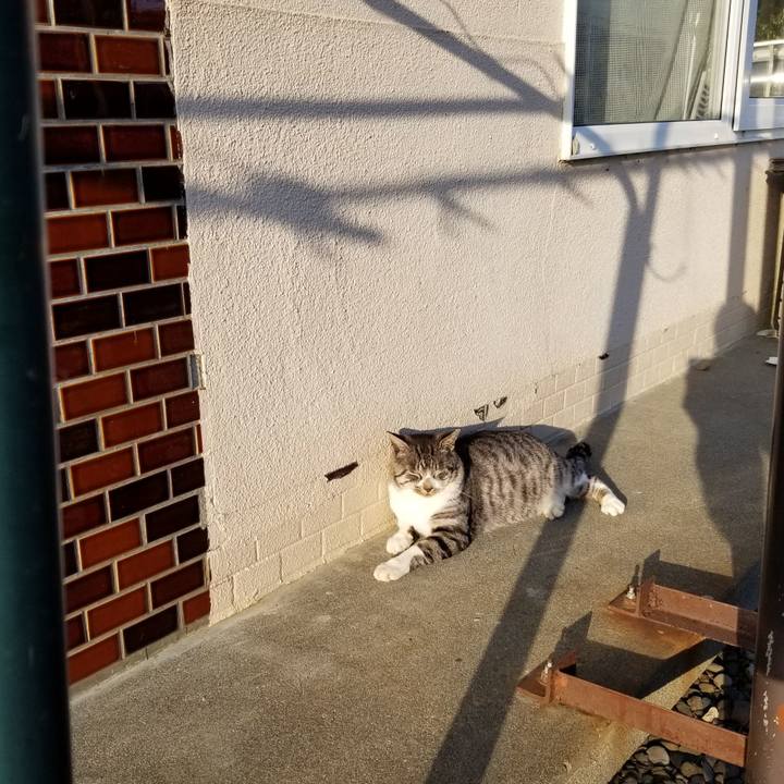 71203eb0 f652 4e7c b50b 1a650fa8ffae 1635173198445