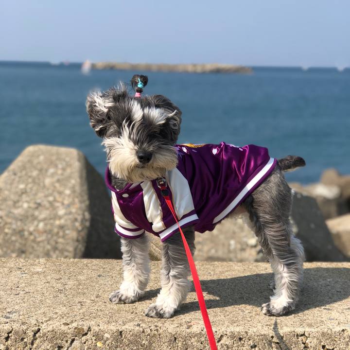 71205bb4 9ddb 4a39 98b1 81807c3da225 1521984340554