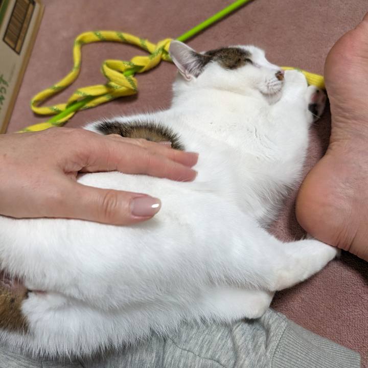 71206835 4035 4982 92e7 4f1160d305ba 1709132716721