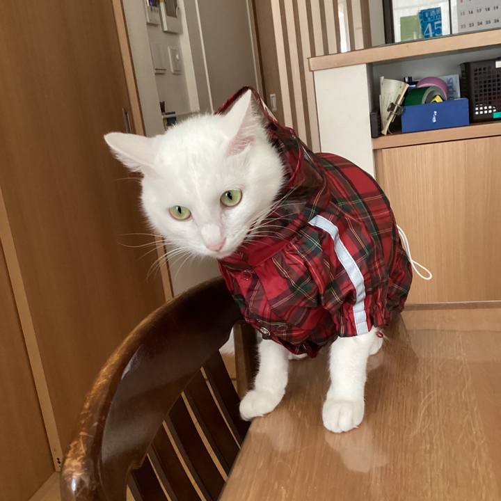 712099f5 3f3e 45a2 b10a f0a3b4e8ccf8 1651746808435