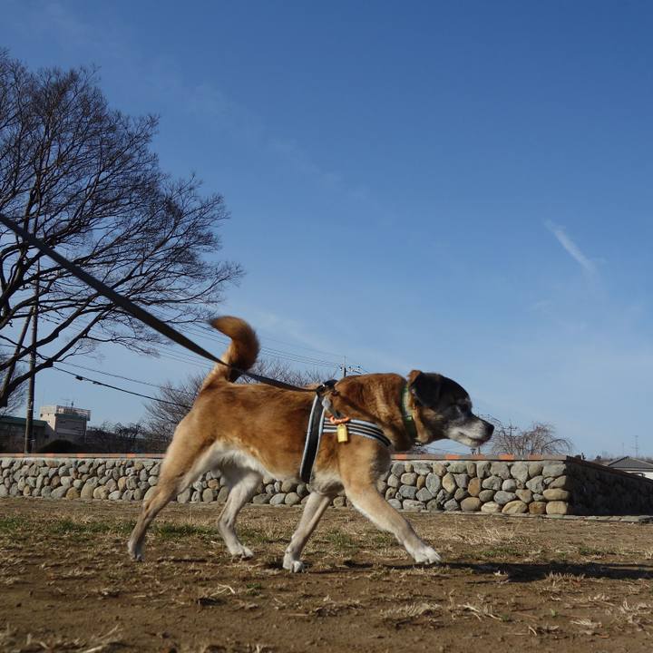 7120db92 4787 40f0 901b cc40d0b77dba 1550969239476