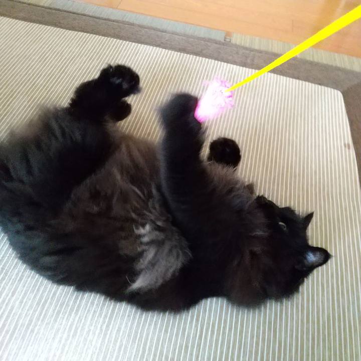 71215d4b f0d7 4a23 be8e 27b585f5ec92 1595285607418