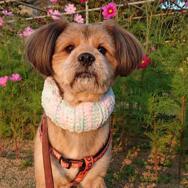 712188d6 167d 4375 a6eb 54c00c5b788e 1541061705253