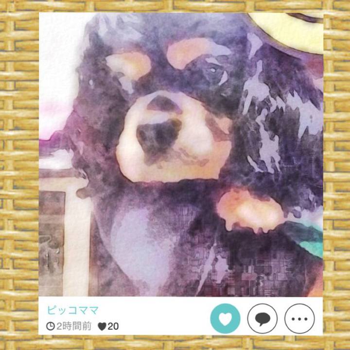 7121b8ad 15a0 4252 8931 64ddc48d26c8 1525562616202