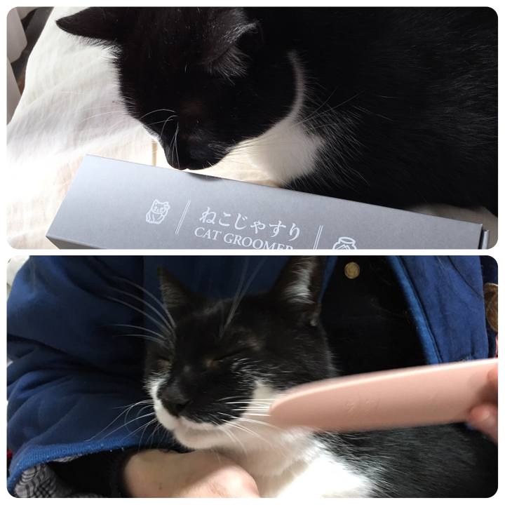 7121c428 7555 4ee8 8e3a 5163b523e8f9 1548386704834