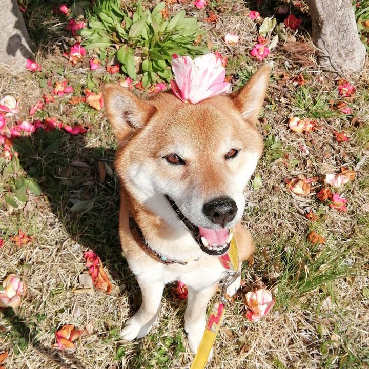 7121ed34 c316 4d90 b119 b40058ee4e73 1616050739914