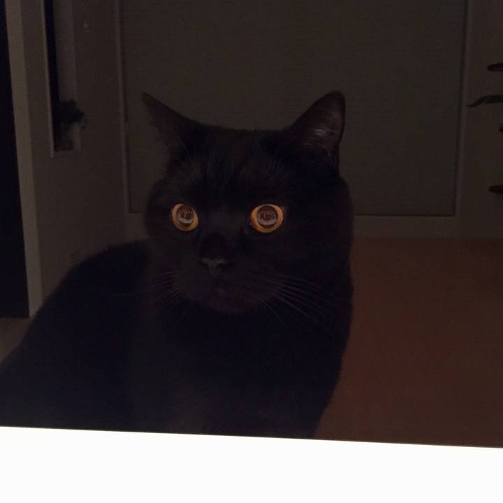 71221d70 752b 4b9a bf38 8f54dec237ad 1553864517995