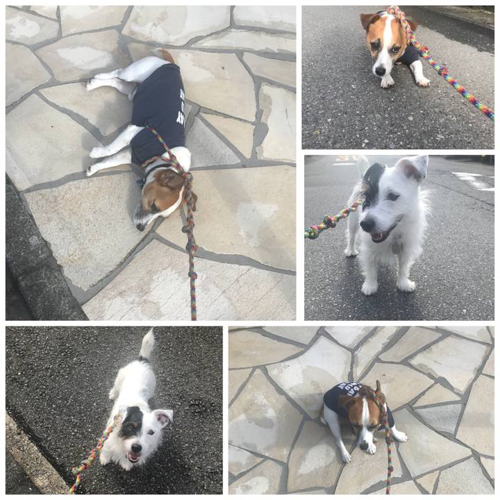 71222f2d a983 451f a09b d21f40fe10f8 1537227302117