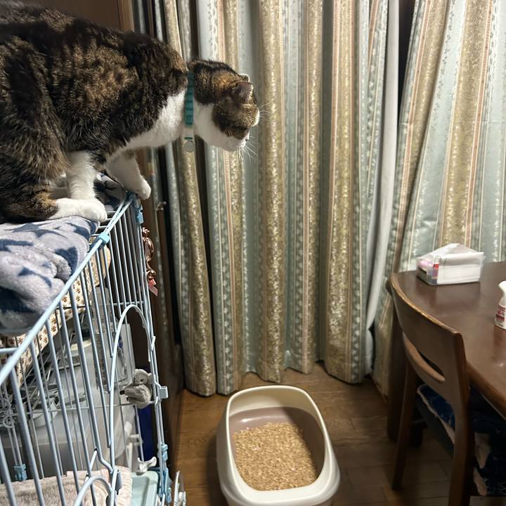 71226e8e 3fba 432a 9bfb 5818746d211c 1761865491664