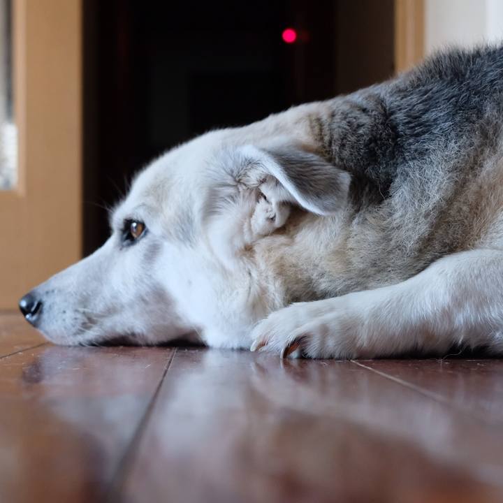 71227a95 0963 4d15 8429 7f19d056463e 1602479726300