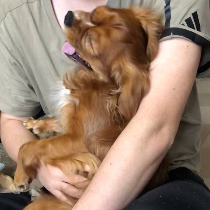 71228af5 5a6f 49e9 8733 05f92606050b 1555453572886