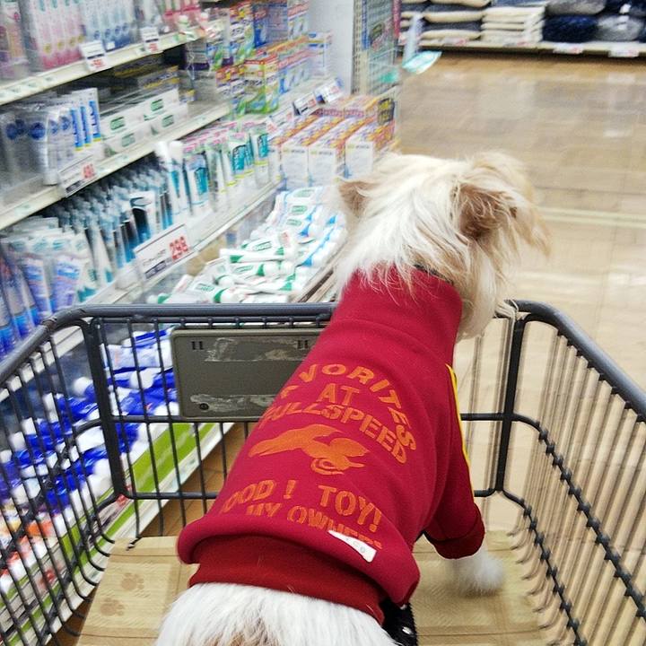 7122a7b2 13e4 47f8 91a5 3a02ddc4b9b9 1573969861055