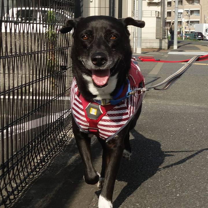 7122d5a6 56b0 4fac aa2e a13517c3cf2f 1687999677323