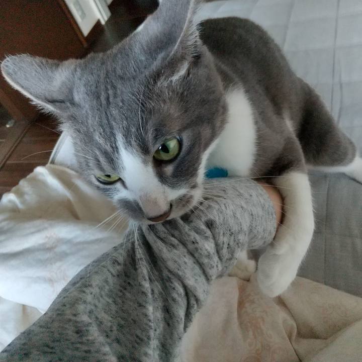 7122d7a3 cf12 423e bc43 39d0a380c486 1619912391283