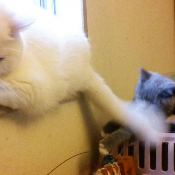 71232ae3 31cf 4d98 80ca acf4a6176678 1531434655063