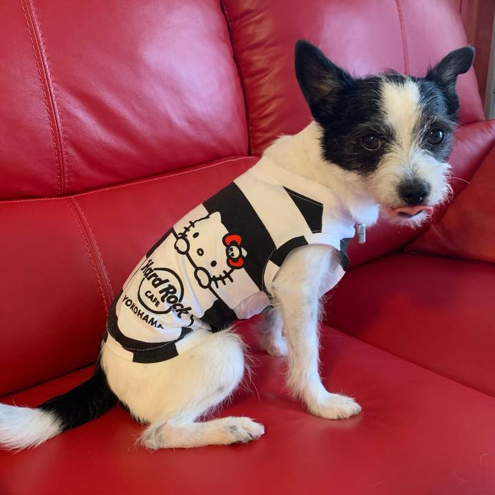 71238881 7a72 4baa 9979 02584185bf5a 1626932788560