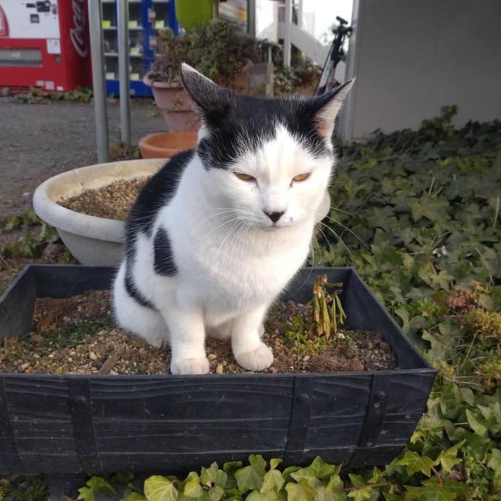 71239211 abf1 40f0 be00 e18e36fcc7de 1765237536148