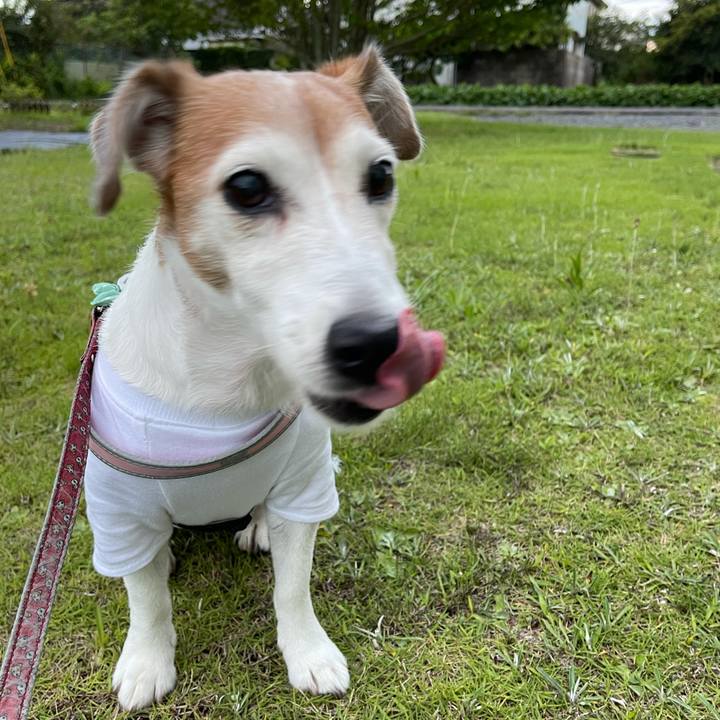 7123a3fc 8a44 457f bd1d 5f54261d8758 1628637117664