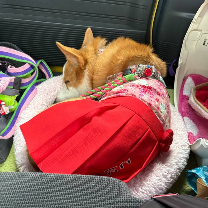 7123b01b b256 4fa6 a93d 53dea5c11e0b 1769312904102