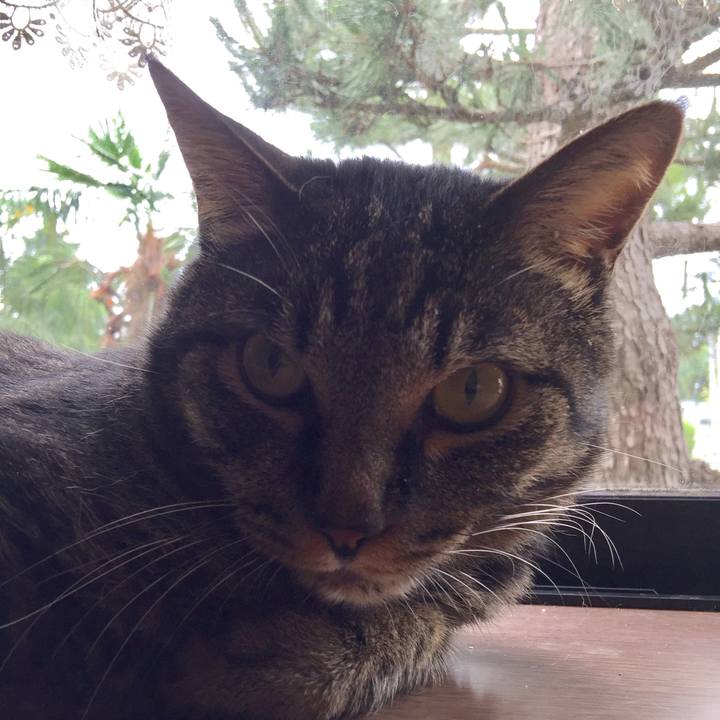 7123b25d 436b 4fe8 aac4 b6d7ec43550b 1528929787286