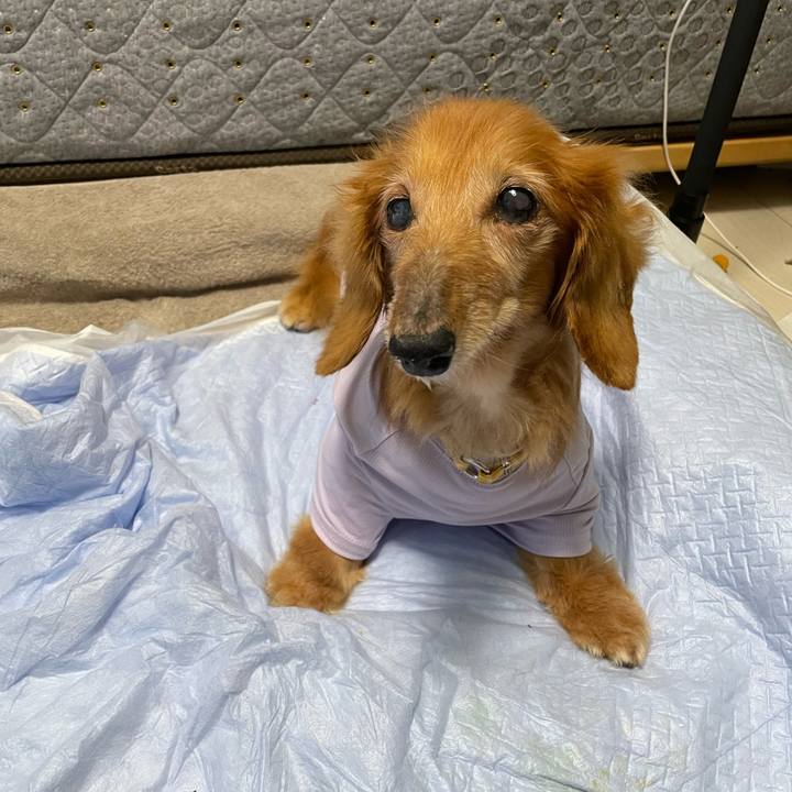 7123b84e 97f1 4f0c a337 1a9c0d1527df 1715942301576