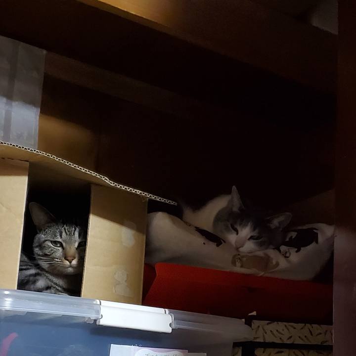 71240625 66cd 4f5e a550 0ed10bded9c7 1709647565685