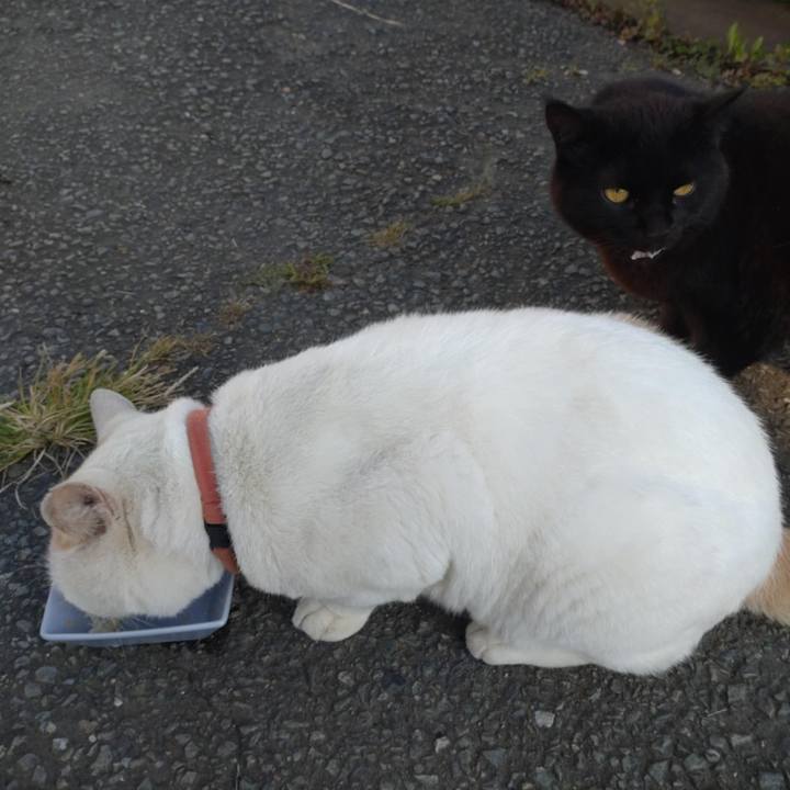 71240c65 520c 4002 9674 21e4cf01938b 1758843059120