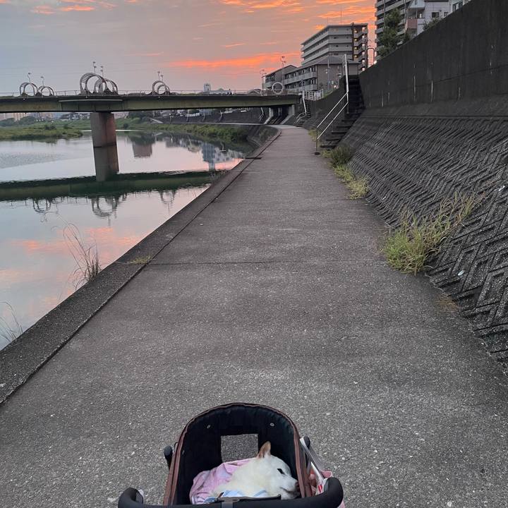 7124699f 717e 4192 b9d7 88839cdd638c 1661346747238