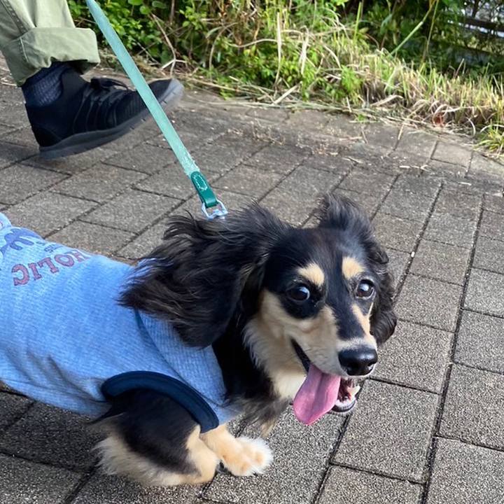 71249158 cb22 44b0 93b2 b85827da688a 1684714070905