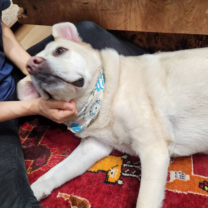 7124a3c9 eb76 4079 9650 6d03006243c3 1756810051481