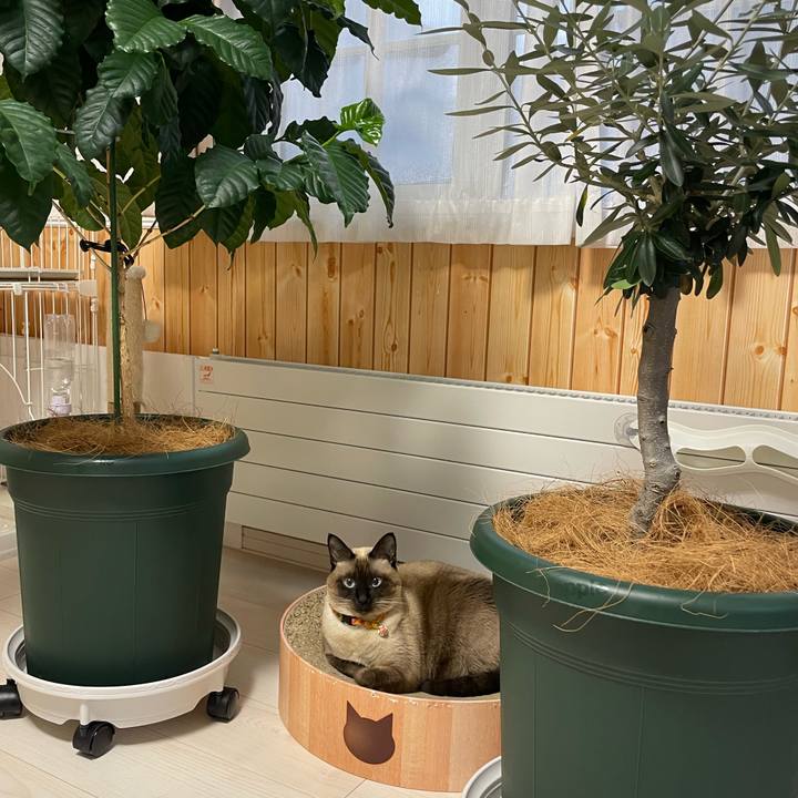 7124b175 672c 4605 818b fd2864860973 1761772073584