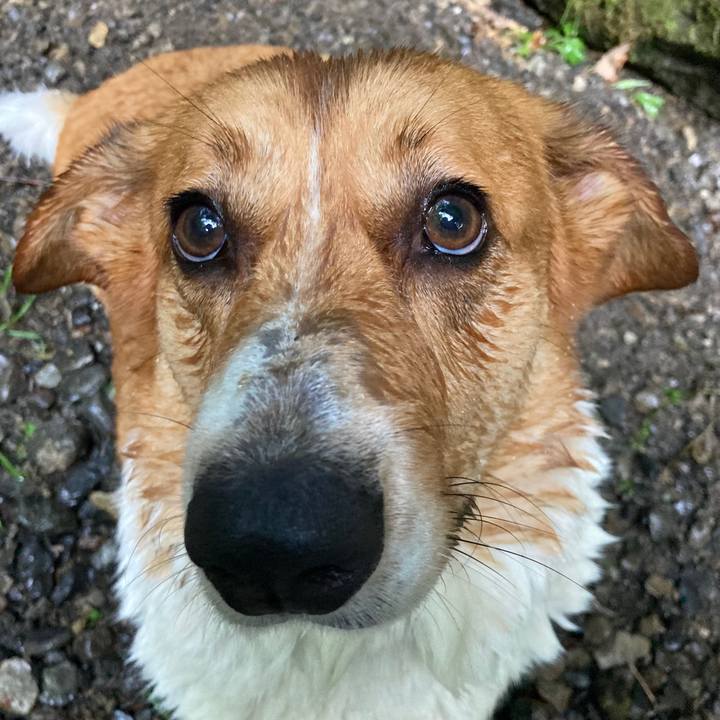 7124b3c9 6f97 4124 b369 311a5afe8dfc 1690850652134