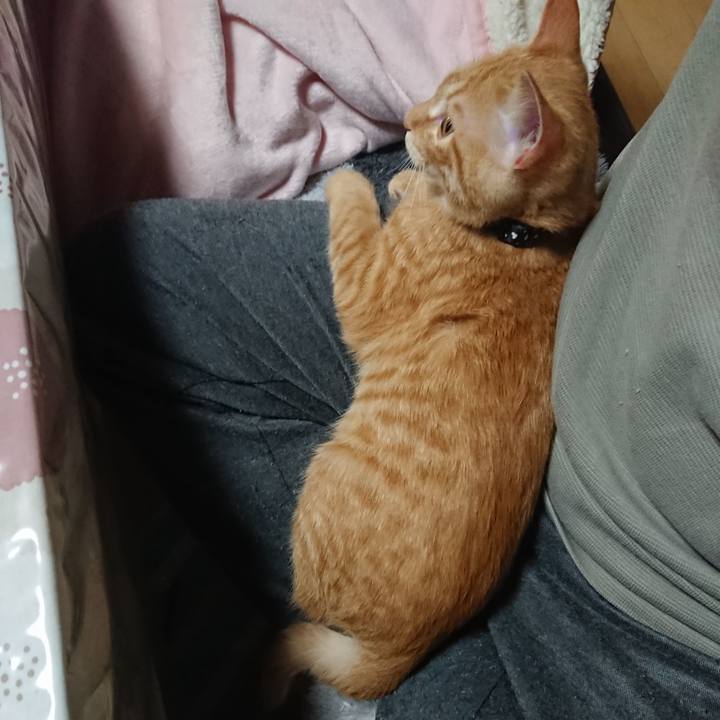 7124edba c22f 48dc 921f 37ca19b0e104 1634033253539