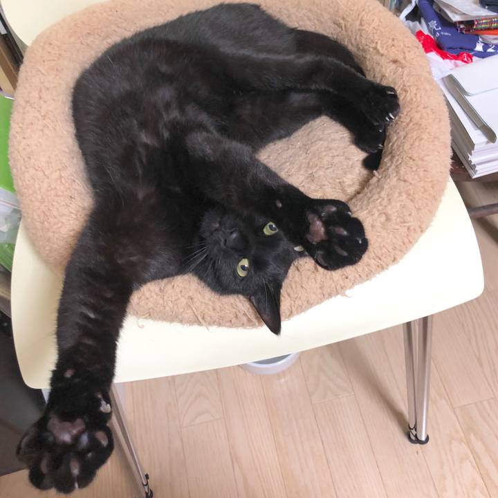 7124efad 60ea 41c6 a6ab fcce915ab9c5 1586146255218