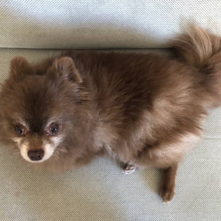 712500cf 1f50 46ab 9c41 d699c3f6b418 1588677814858