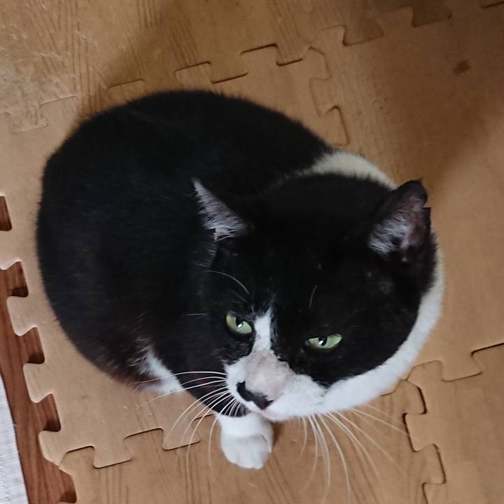 712502f8 abf0 4f4d b595 ef3aac9f4b8a 1569986564522