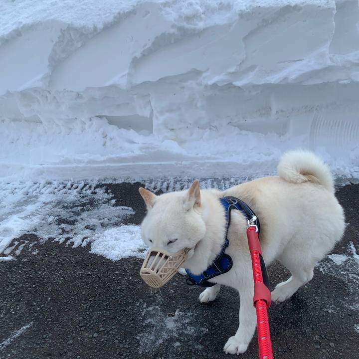 71251031 c9cd 4a22 aac4 b8696a250b06 1644884057350