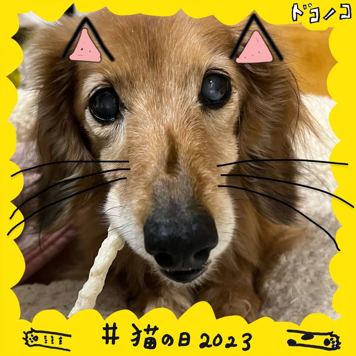 71251392 0676 4bd0 b42d be60382e91e2 1677065791029