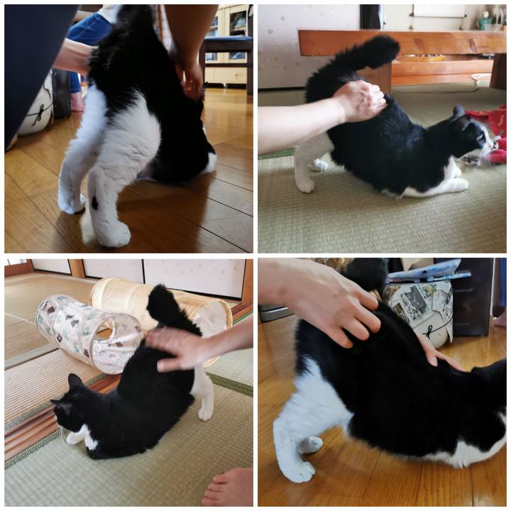 71253e45 8f02 46e4 aa58 defd593451cd 1663400188310