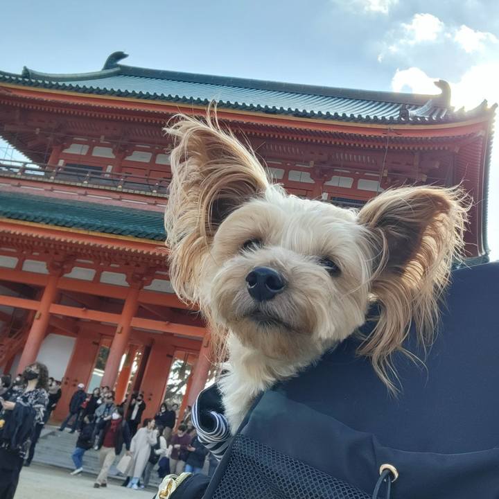 7125482e fc24 451c 96fc 4129a6d2c891 1672650785854