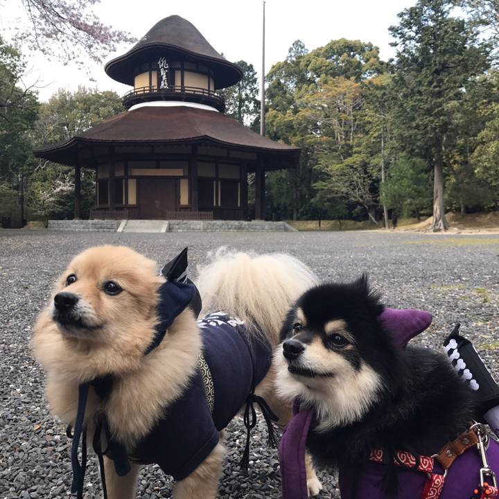 71259b29 0890 4311 91fe f6a3597756fc 1590125434491